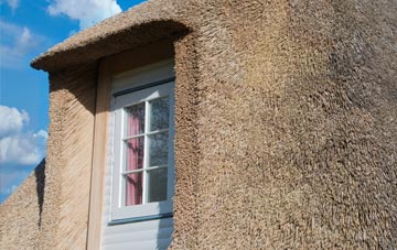 Brownber thatch roof disadvantages